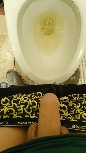 Pissing on my friend toilet #13