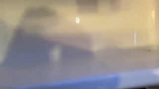 Winter pee compilation