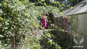 Spicyxmina in the Greenhouse with an Eggplant