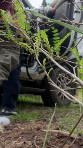 Spontaneous fucking in the forest