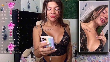 TS Angelique Monroe - Webcam show from November 12, 2024