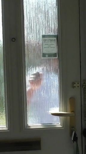 Naughty MILF's Quickie with Workman Mr_mobydick