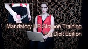 Mandatory HR Strapon Training: Big Dick Edition