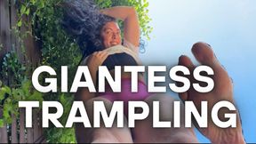 Giantess Tramples You