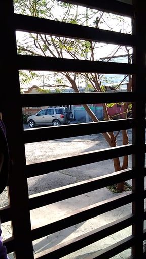 Sitting in the Chair While I Masturbate, in Front of the House Gate