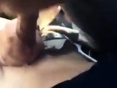 Car Blowjob With Cum