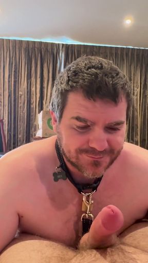 Pup giving me a blowjob and showing off   Clip 2