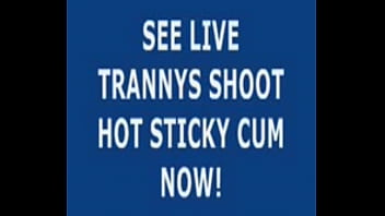 Live Tranny Cum 17