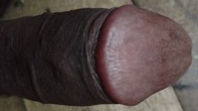 desi penis