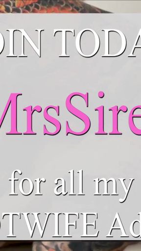 Must-share moment from "Face Riding, Smothering, and Fucking"