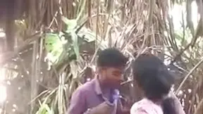 Desi Lovers In Park Sex