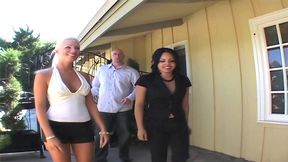 busty brunette fucks a horny black stud for her interracial fix