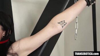Kelly Lovely's Torment: A Trans BDSM Bondage Delight
