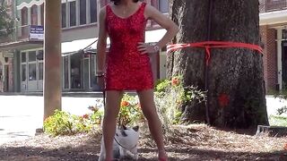 Watch these stunning shemales fulfill their wildest desires in this outdoor video