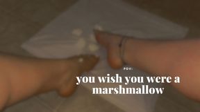POV: you wish you were a marshmallow