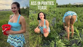 Slutty Girl Strawberry Picking and Teasing with Ass in Panties