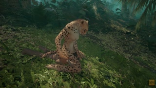 Wild Life / Leopard Playing With Her Prey