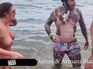 "Sharking" Plan On Nudist Beach Leads To Wild Foursome!