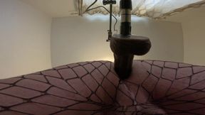 Fucked Hard in Fishnets