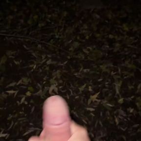 Outdoor Cumshot