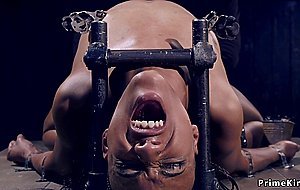 Ebony is vibrated in pile driver bondage