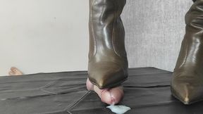 POINTED TOE BROWN STILETTO BOOTS BOOTJOB (F CAMHD)
