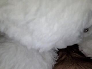 Teaser (fan purchased plushie) full video coming soon