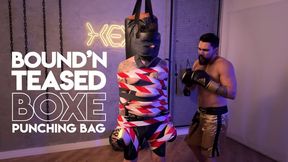 Hex ties Tonny at the punching bag (1080p) Bondage Male - Gay Boxe - Gay Belly Punching - Gay Gut Punch - Gay Bondage