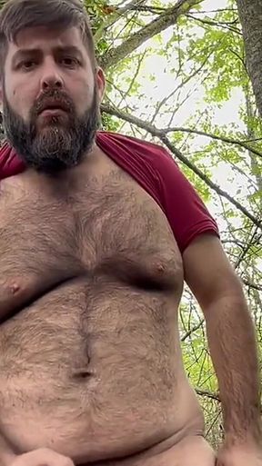 Looking for an Ass in the Forest