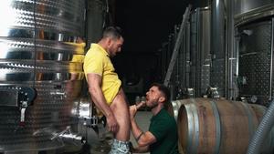 Men: Manuel Takes Control, Making Paddy Moan