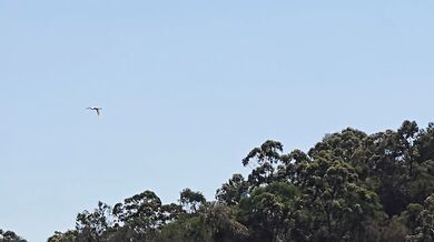 BREASTFEEDING MY HUNGRY BOY-OUTSIDE PUBLIC BREASTFEEDING