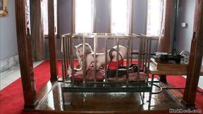 ”Hubby with housewife fuck big breasted slave”