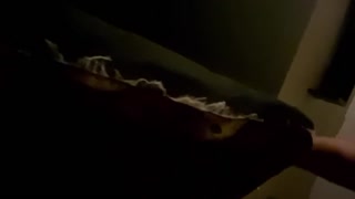 Amelia takes Daddies dick in air tight asshole