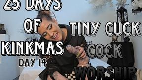25 Days of Kinkmas Day 14: Tiny cuck cock worship
