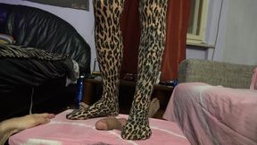 Sigma Femdom - Cock Crushed Under Leopard Muse