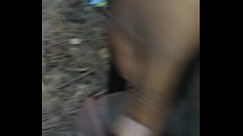 Quick time in the woods