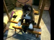H0RS3 Compilation - (Gay Yiff Comp) - Compiled by AznChubLuvr