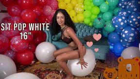 Sit Pop White Sa16" By Maria - 4K