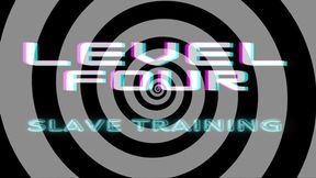 Level 4 Slave Training