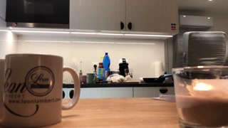 Braless with a Mini G-String Sylvia in the Kitchen doing the Dishes Part 1