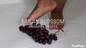 Mulan Blossom Smashing Grapes