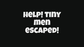 Help! Tiny men have escaped and they are all over my house!