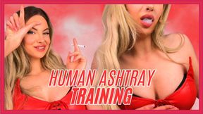 1080WMV Human Ashtray Training