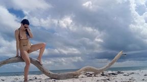 Public Beach Log Peeee Destruction