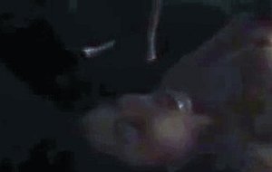 Here Is Another Good Video Wife First Threesome With Husband Friend