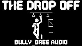 The Drop Off Audio