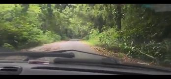 She Thought She Was Going to Take a Bath in a Waterfall! I Took Her to Take a Milk Bath in the Forest!