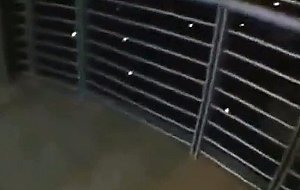 Tyler stevenz pov