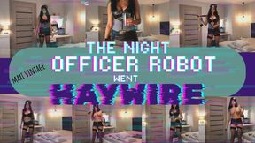 MAXI VINTAGE: The night OFFICER ROBOT went HAYWIRE