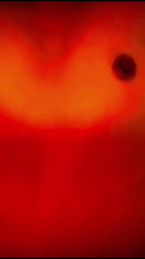 Best Clip Cambodian Hot Sex - I Visit At Rental Room Mss KittY She Want It I Try More(01 Nov 2025)   Clip 2